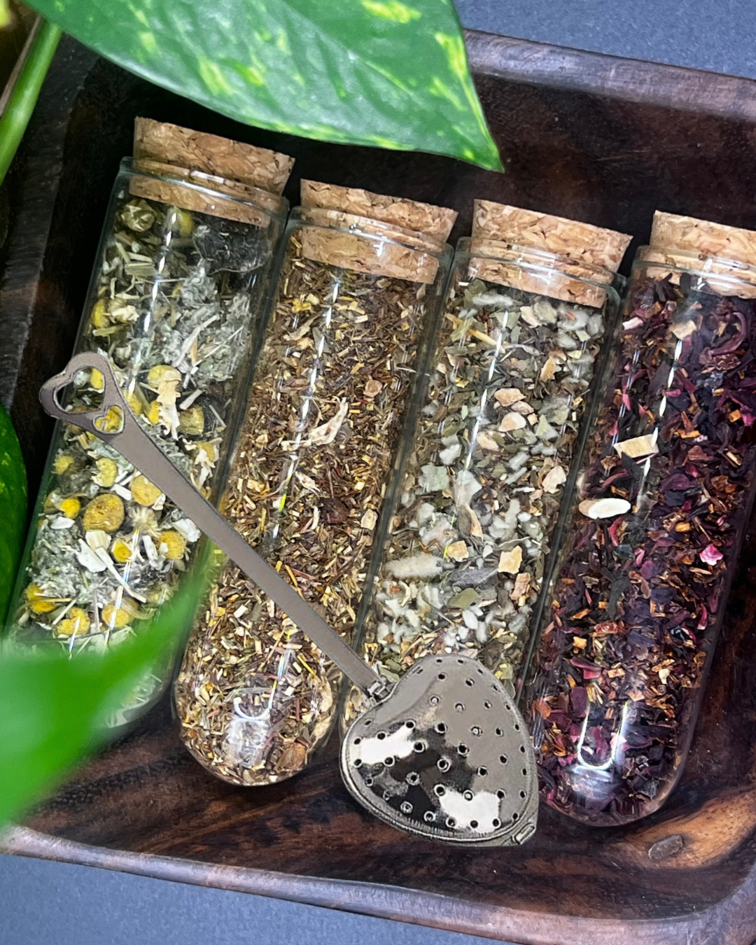 Tea Sampler Box – 4 Herbal Blends to Support Your Body + Spirit + INCLUDING 1 Heart Shaped Steeper