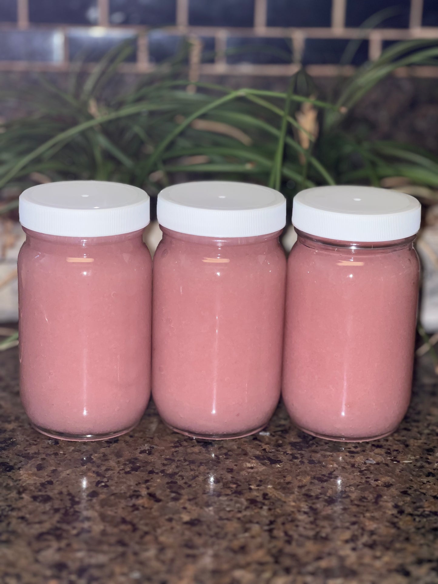 Rainbow Sea Moss Bundle