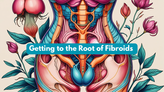 🌿 Why Fibroids Form: A Holistic View + Free Healing Guide