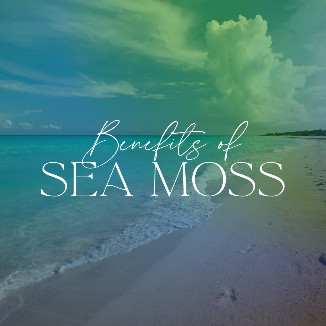 Potential Benefits of Sea Moss