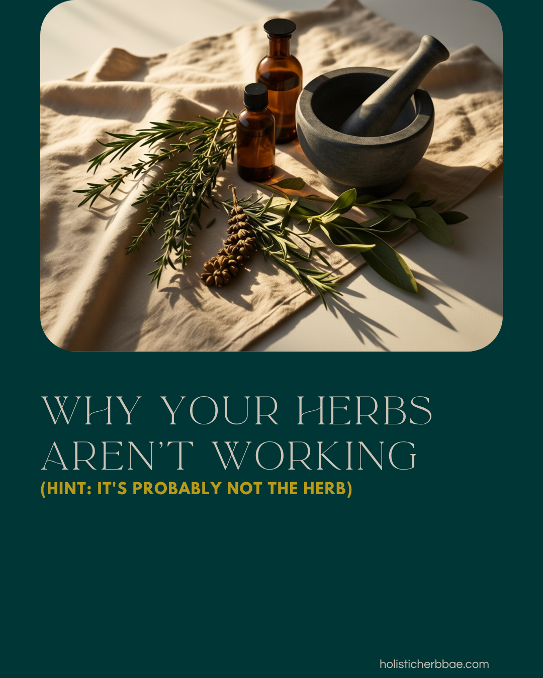 Why Your Herbs Aren't Working (Hint: It's Probably Not the Herb)