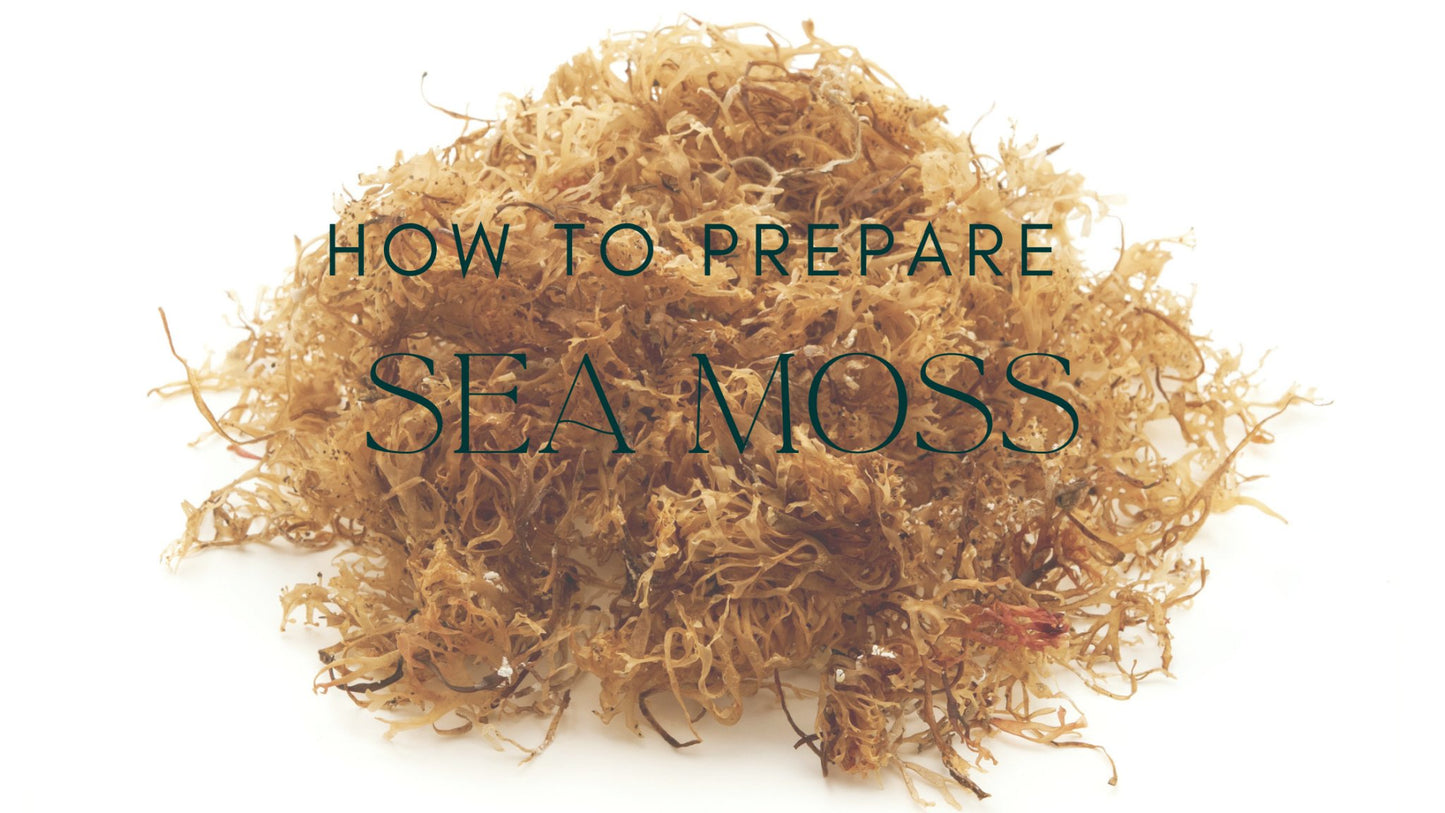 HOW TO PREPARE SEA MOSS! - Holistic Herb Bae