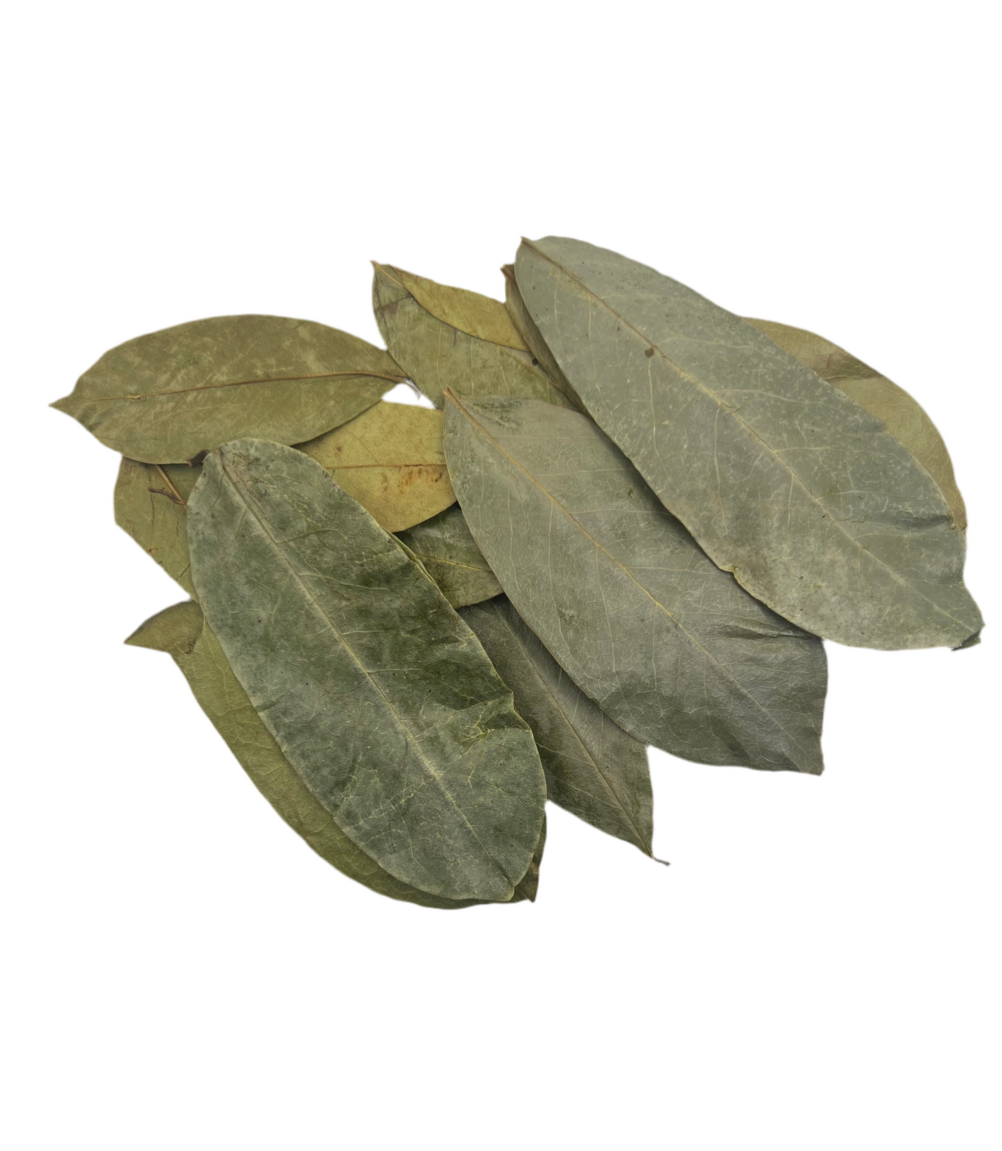 Organic Soursop Leaves