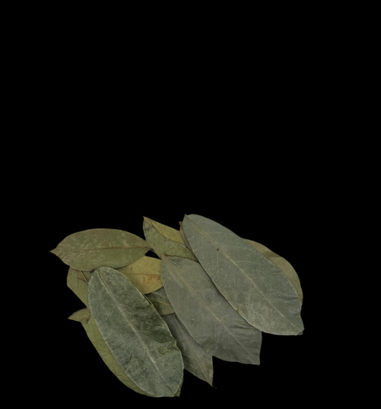 Organic Soursop Leaves