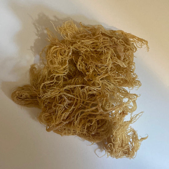 Dried Sea Moss - Rainbow - Holistic Herb Bae