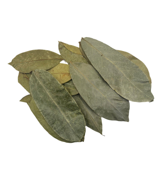 Organic Soursop Leaves - Holistic Herb Bae