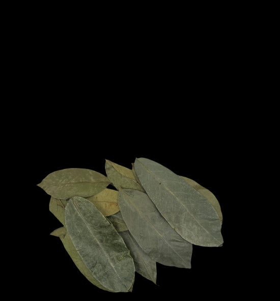 Organic Soursop Leaves - Holistic Herb Bae