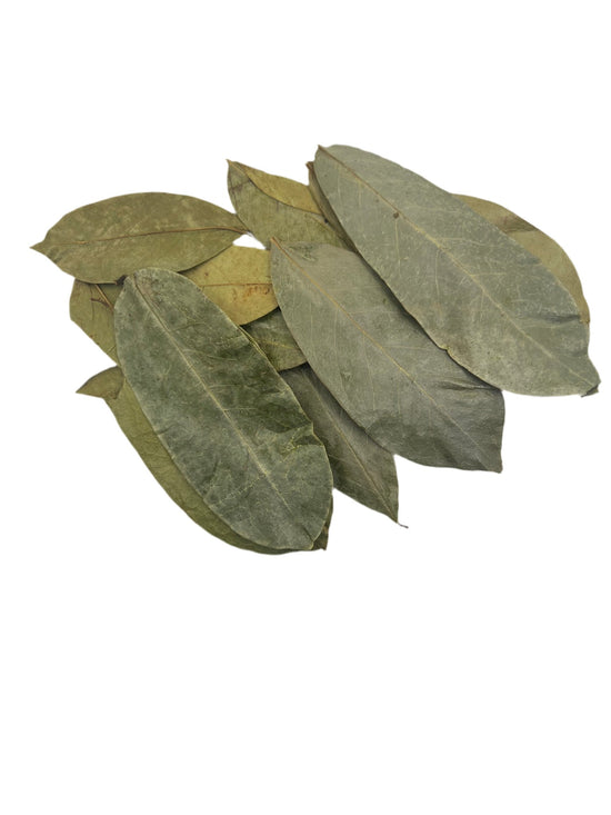 Organic Soursop Leaves - Holistic Herb Bae