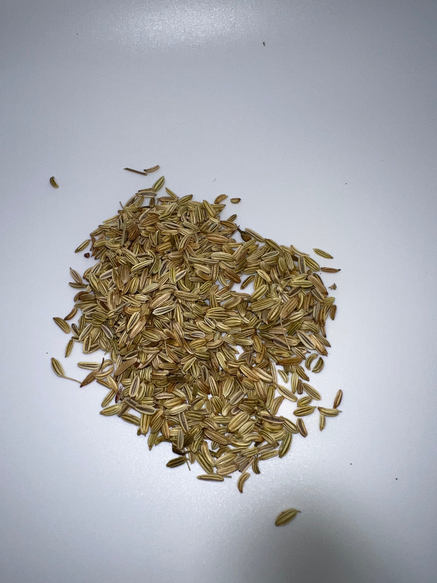 Fennel Seeds , Organic